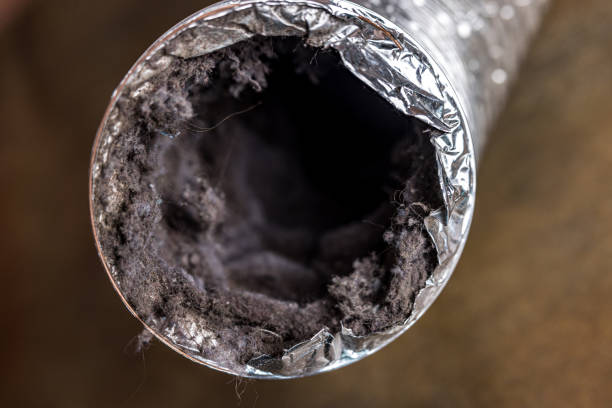 Best Commercial Air Duct Cleaning  in Cave Spring, VA