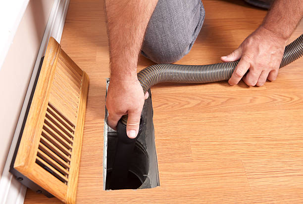 Best Air Duct Mold Removal  in Cave Spring, VA