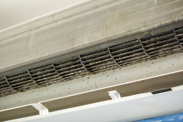 Best Ventilation Cleaning Services  in Cave Spring, VA